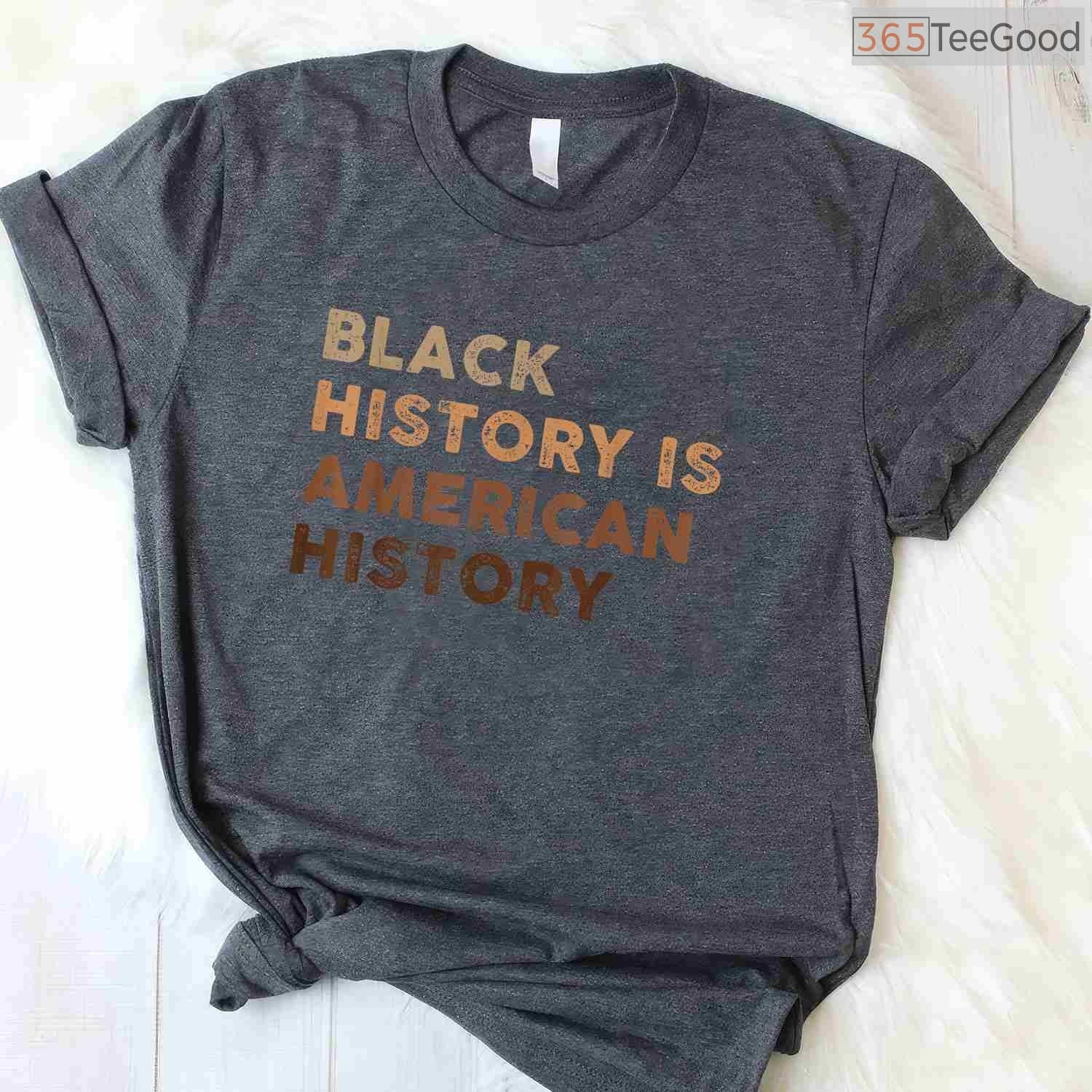 Black History is American History Melanin Pride T-Shirt Cultural Heritage Gift for Activists