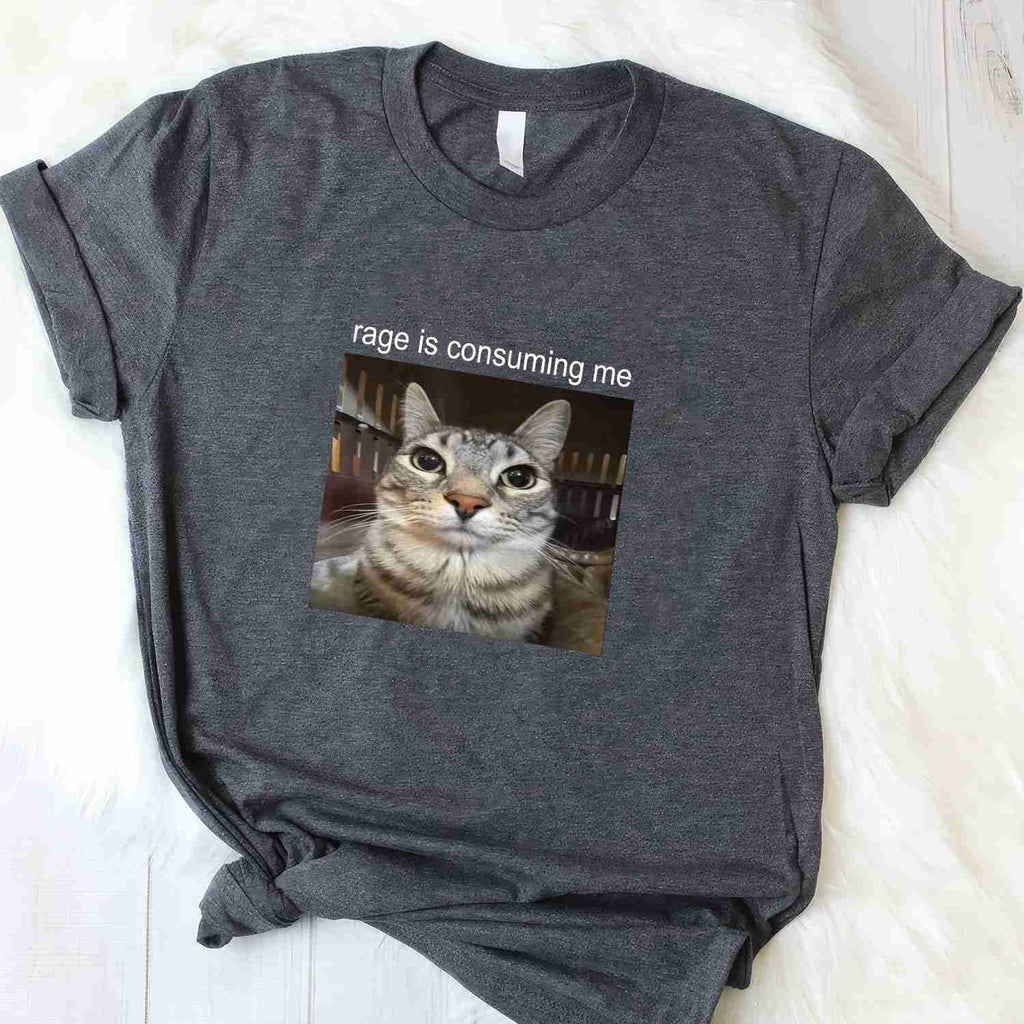Rage Is Consuming Me Funny Cat Meme Tee Silly Staring Cat T-Shirt for Adults Unisex