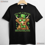 Guy Its Me I Am The Shenanigans St Patricks Day T-Shirt Funny Humor Tee