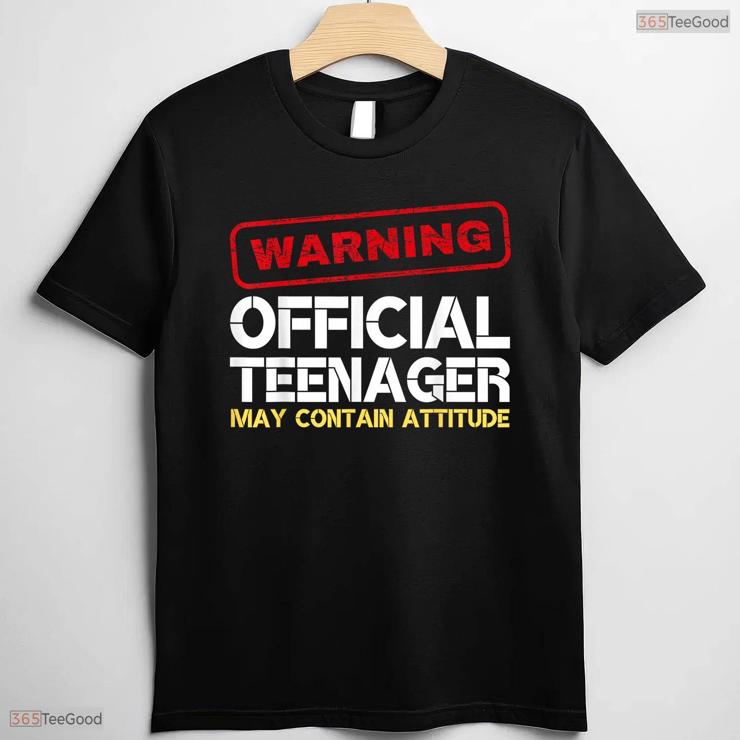 Official Teenager Math Equation Funny 13th May Birthday Celebration T-Shirt