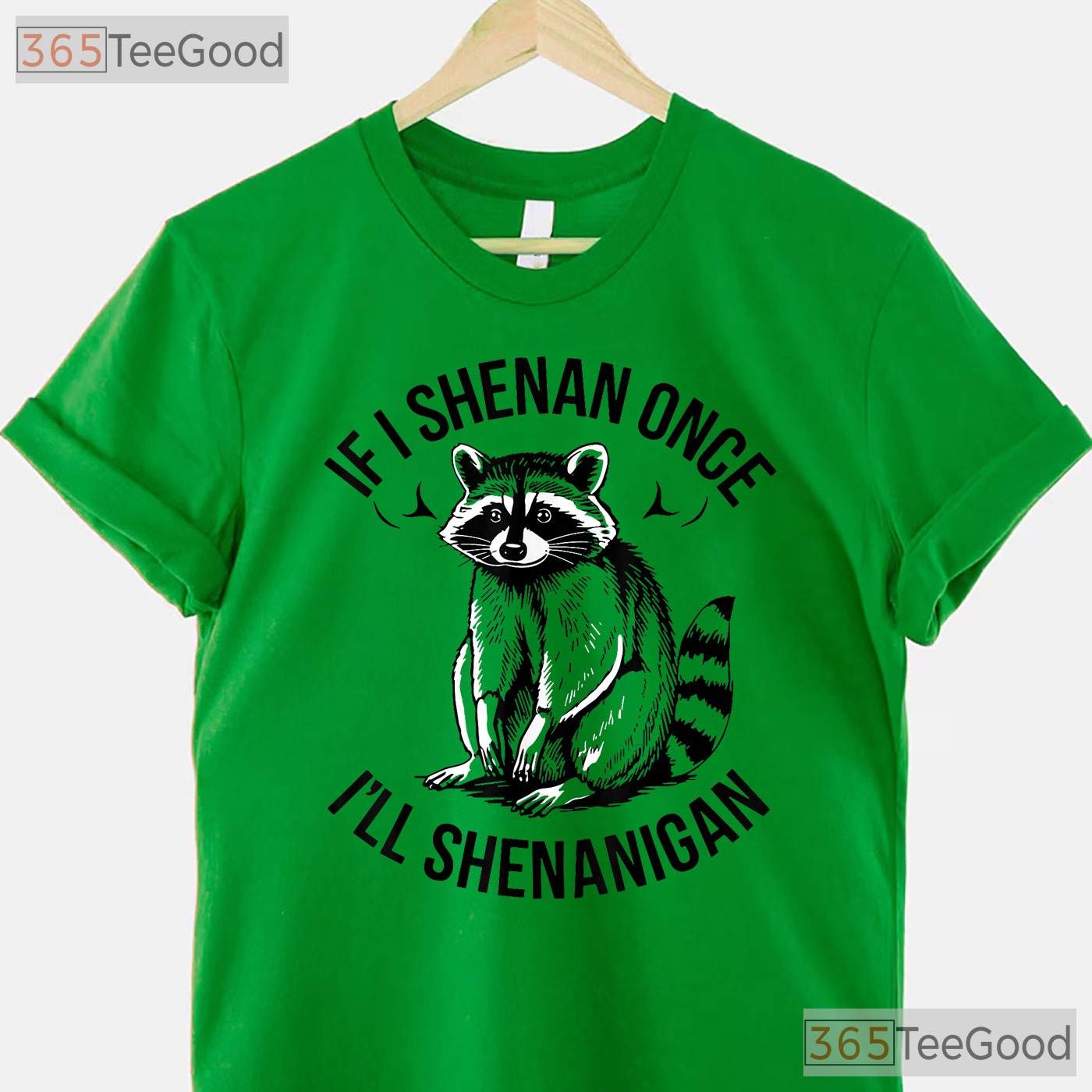 Raccoon If I Shenan Once St Patricks Day T-Shirt Funny Trash Panda Gift
