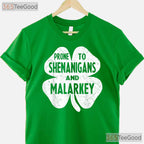 Prone To Shenanigans And Malarkey St Patricks Day T-Shirt Boys Kids Funny