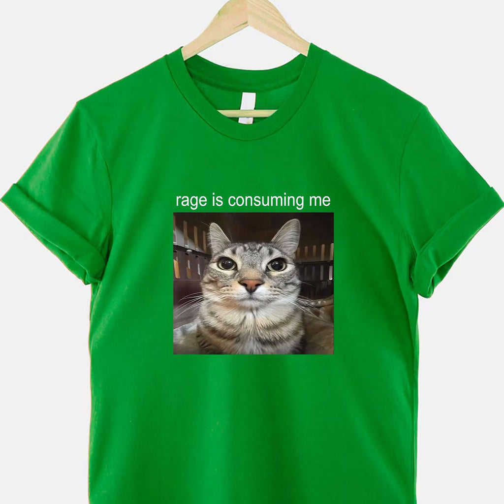 Rage Is Consuming Me Funny Cat Meme Tee Silly Staring Cat T-Shirt for Adults Unisex